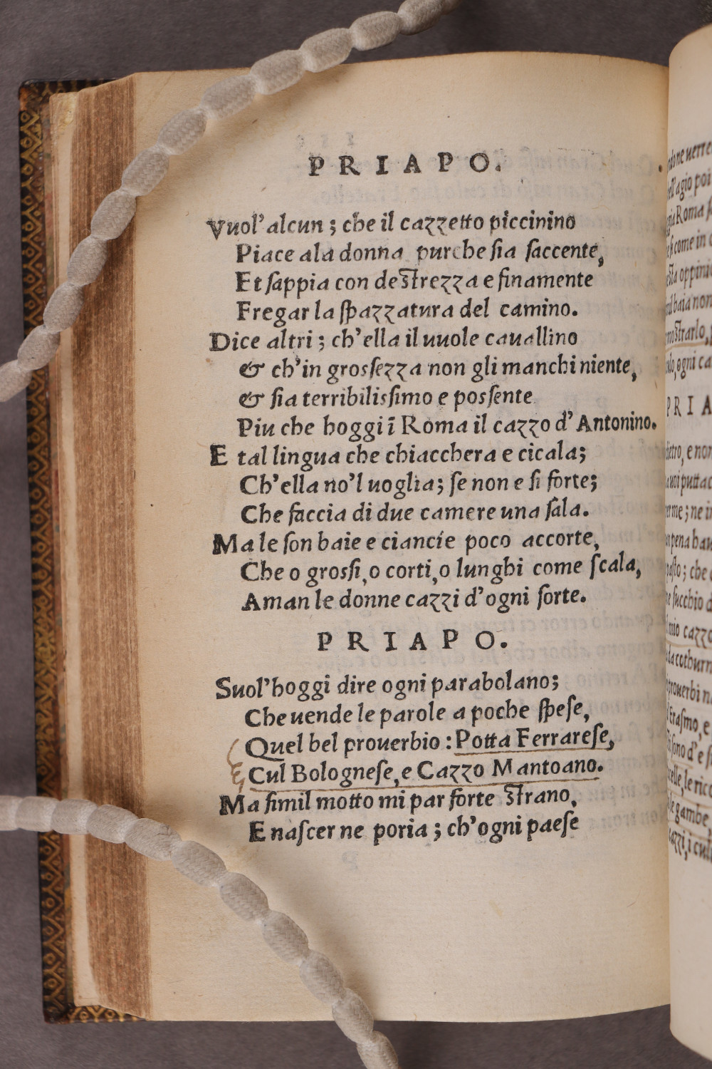 Folio 113 verso